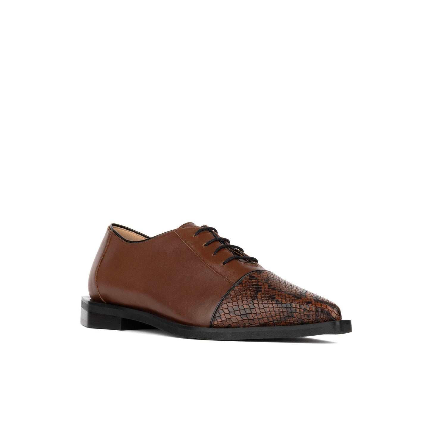 Sloan - Brown & Snake - Women's Leather Oxford with Snakeskin toe Womens Shoes Embassy London