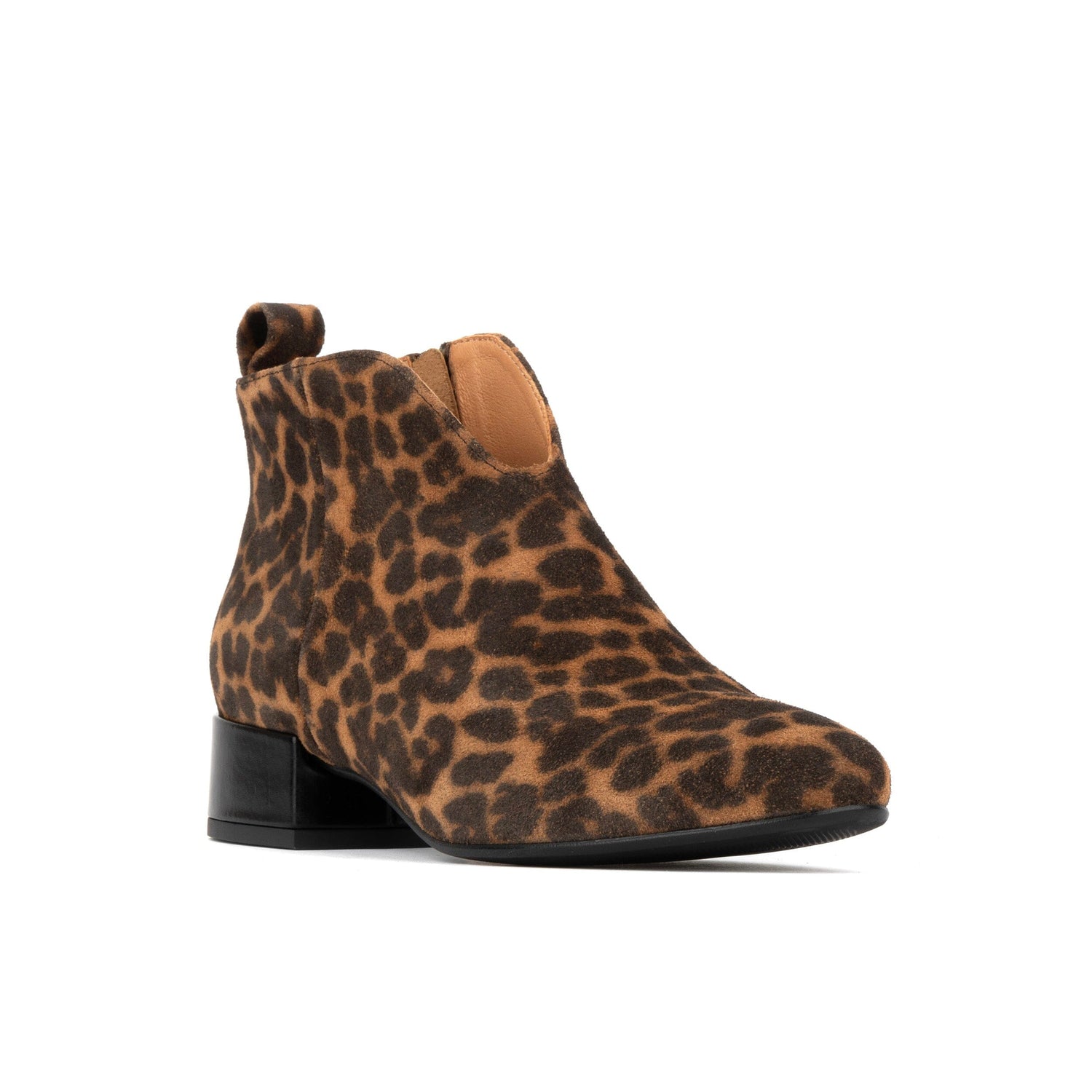 Iris - Leopard Womens Ankle Boots Embassy London