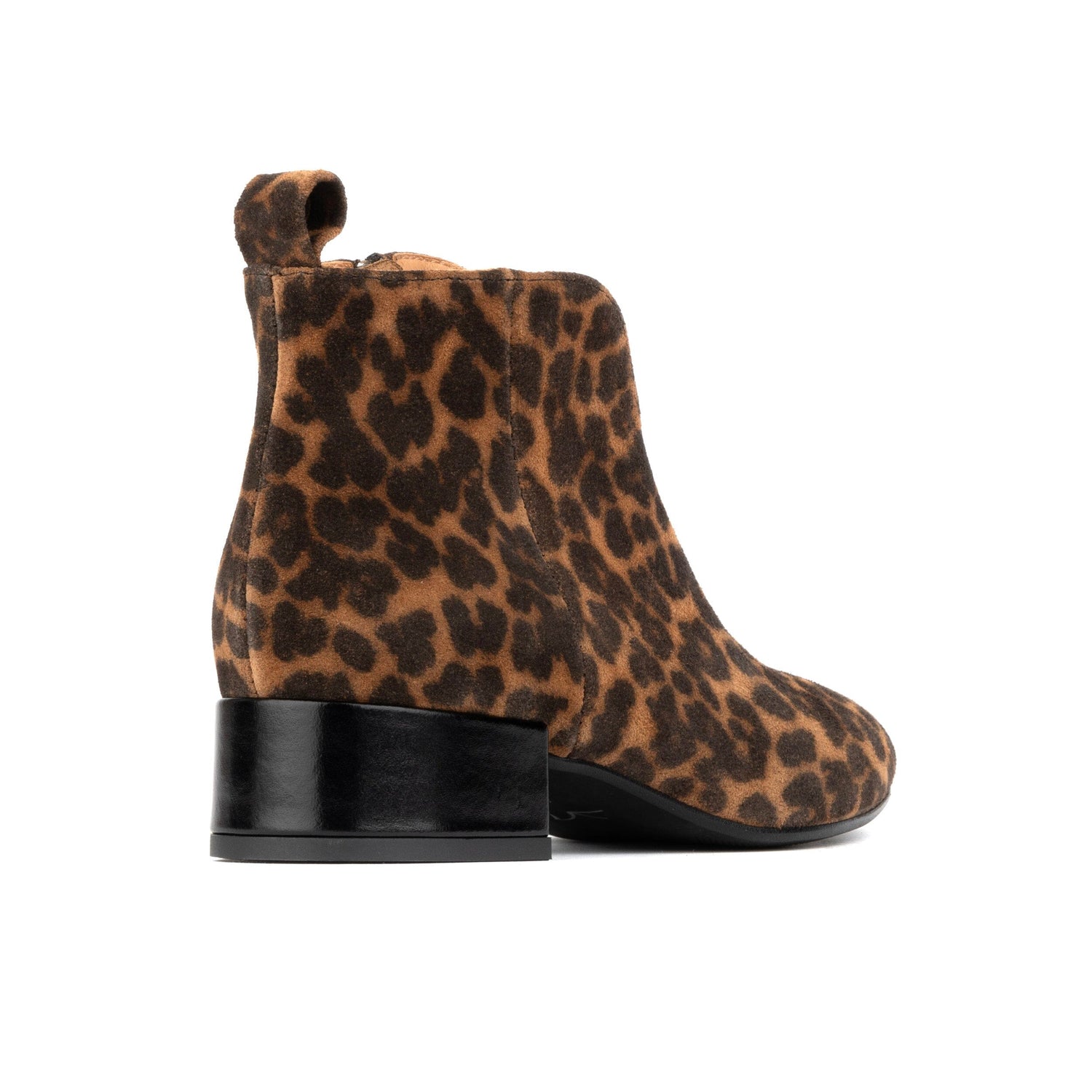 Iris - Leopard Womens Ankle Boots Embassy London