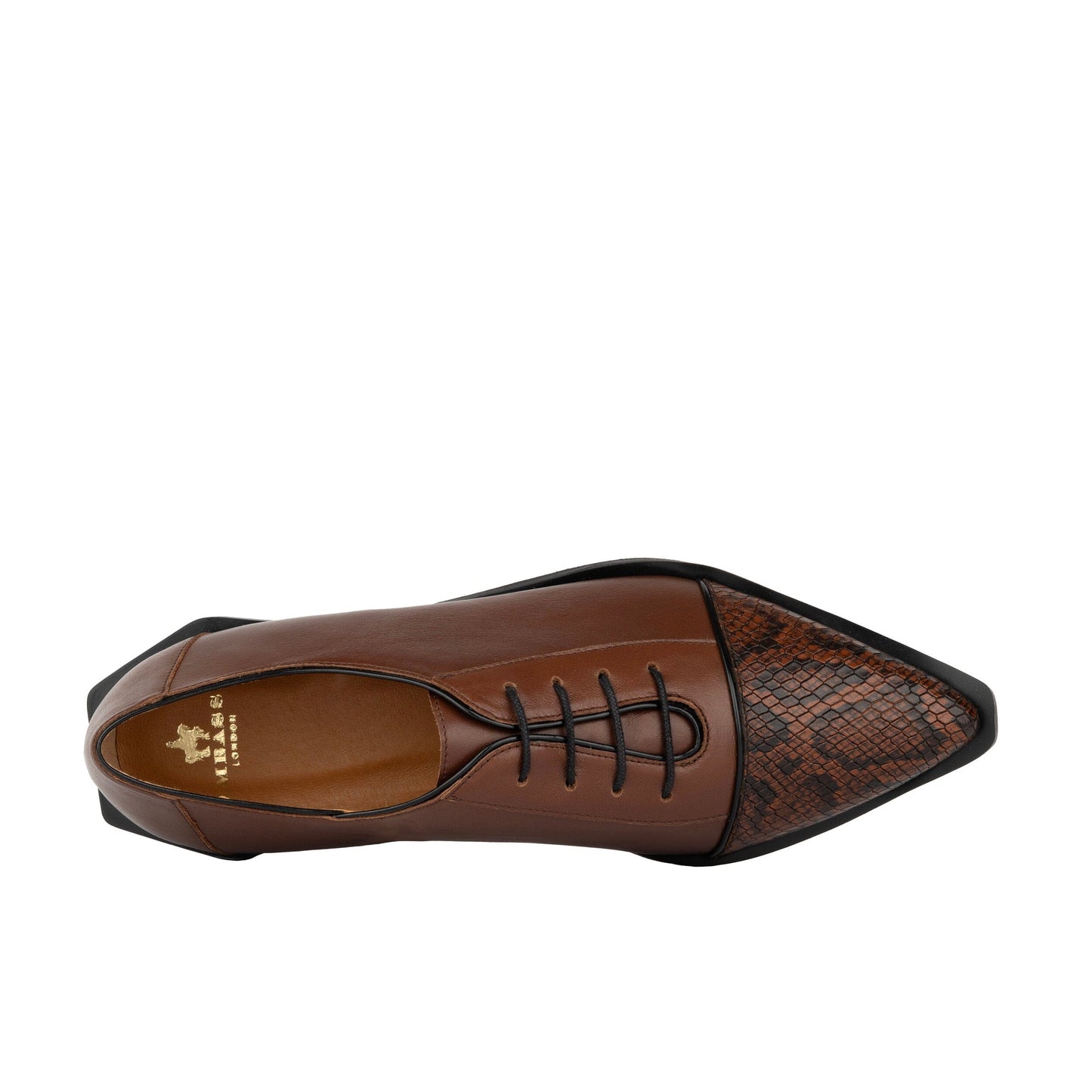 Sloan - Brown & Snake - Women's Leather Oxford with Snakeskin toe Womens Shoes Embassy London
