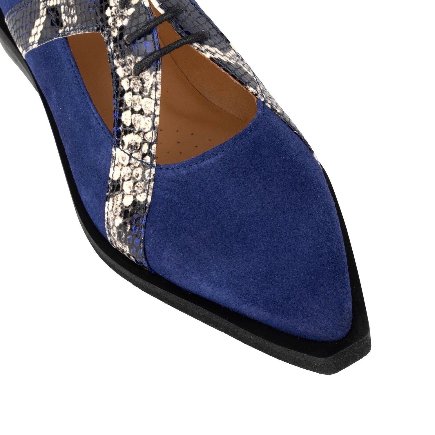 Harlowe - Blue Snake Womens Shoes Embassy London 